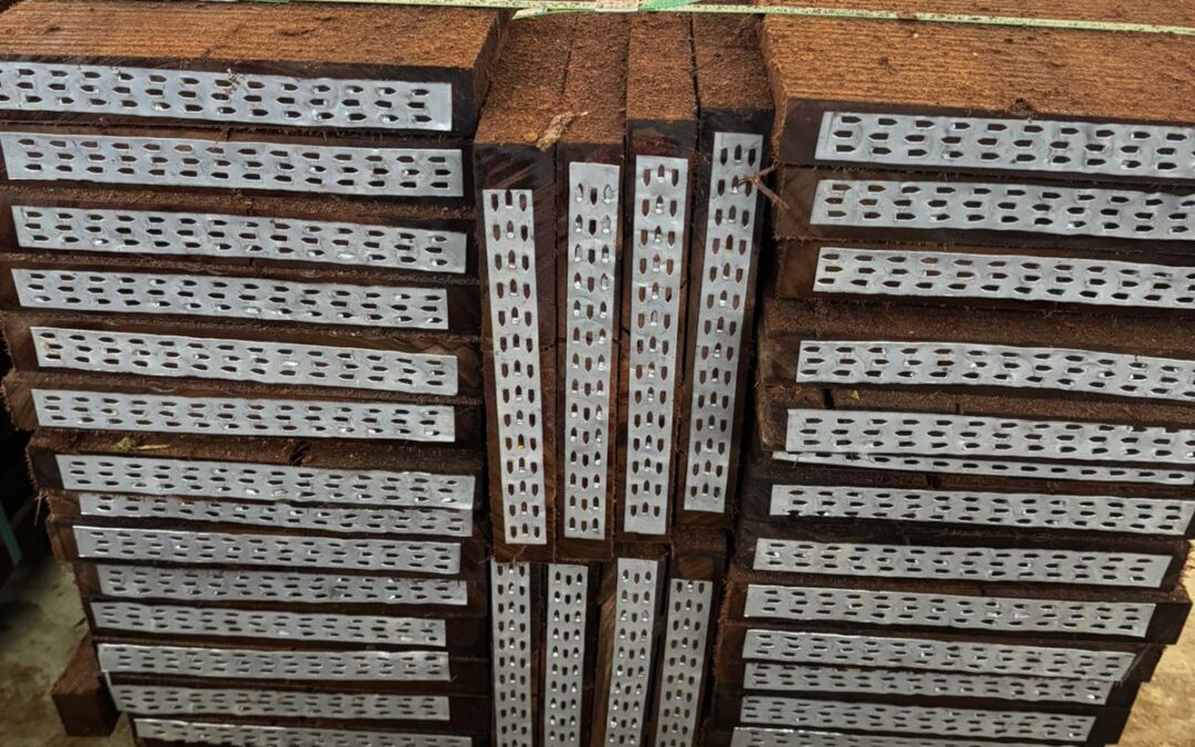 Pranchao para andaime para construção civil